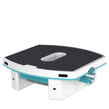 Load image into Gallery viewer, Dolphin Skimmi