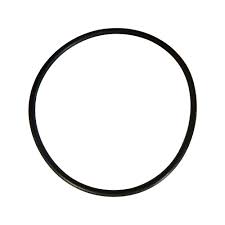 CLX110K O-Ring Viton for Chlorinator Lid