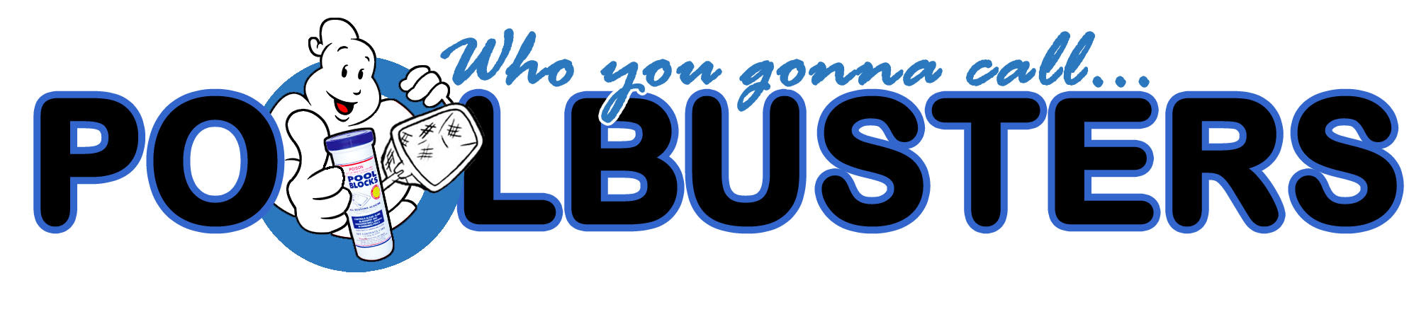 Niagara Pool Repair - Custom Pool Installs – Pool Busters Fonthill