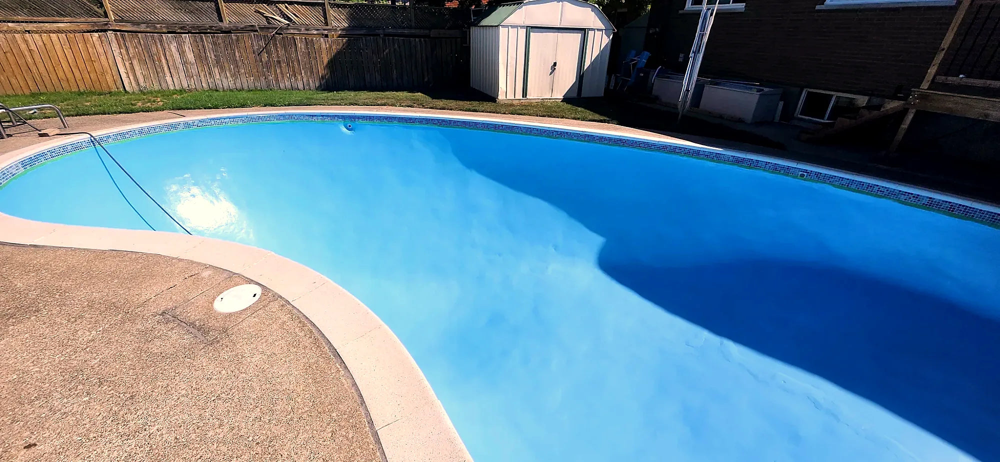 A freeform concrete pool freshly painted in ocean blue, with a glass mosaic waterline tile band