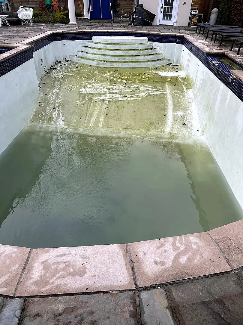 Before: a partly drained pool with green water and a dark mosaic waterline